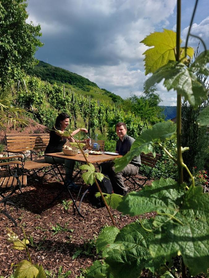 Weingut Erich Serwazi 梅塞尼希 外观 照片