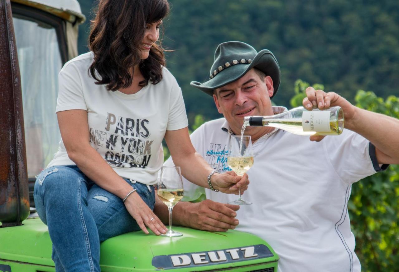 Weingut Erich Serwazi 梅塞尼希 外观 照片