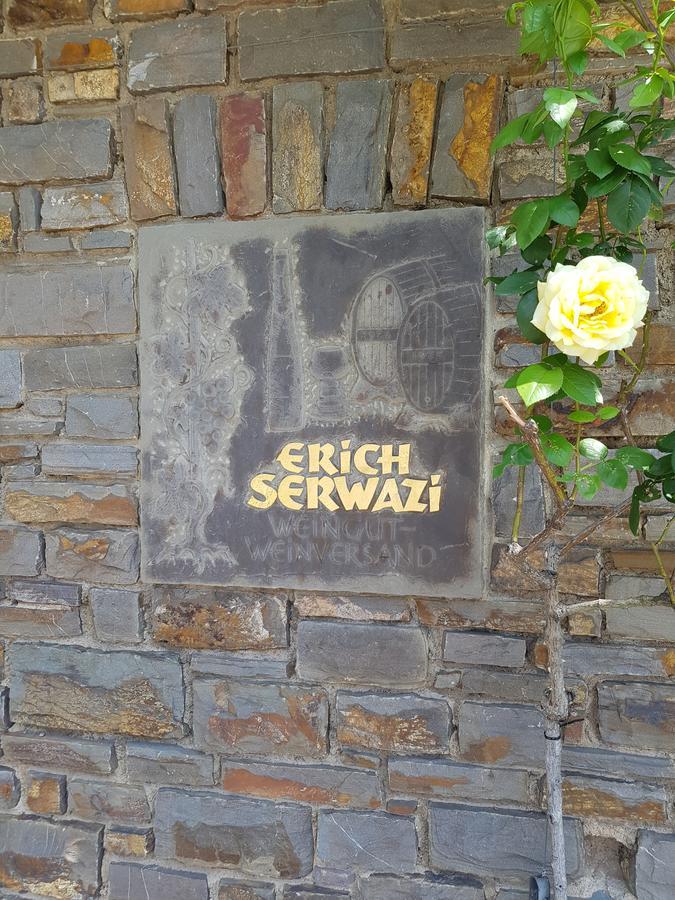 Weingut Erich Serwazi 梅塞尼希 外观 照片