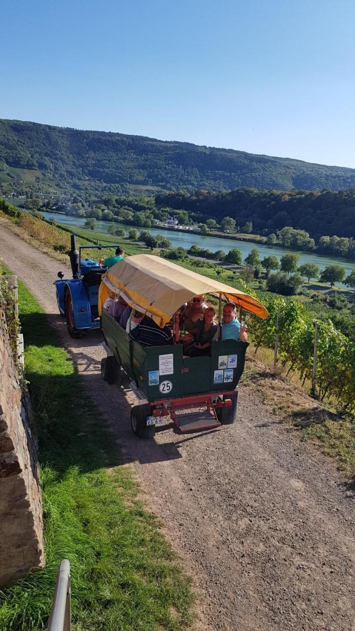 Weingut Erich Serwazi 梅塞尼希 外观 照片